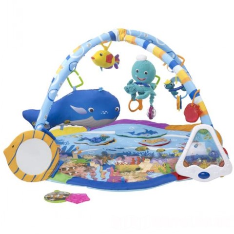 Attached picture Ocean Adventure Gym.jpg